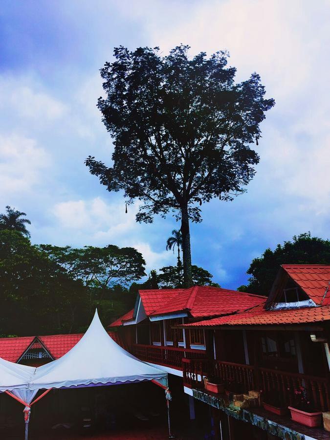 Hosteria Don Elias ปูโย ภายนอก รูปภาพ